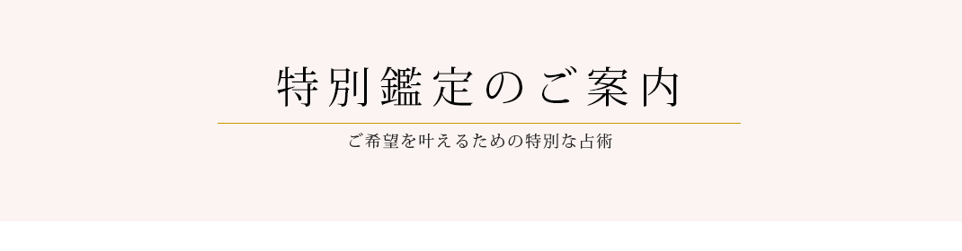 特別鑑定のご案内